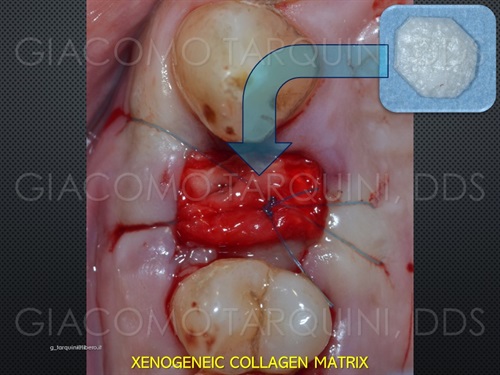 Diapositiva13_030101959_mid.jpg.3fb261f6a187fff04c19341e553ee2c5.jpg